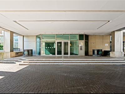 Picture 7
